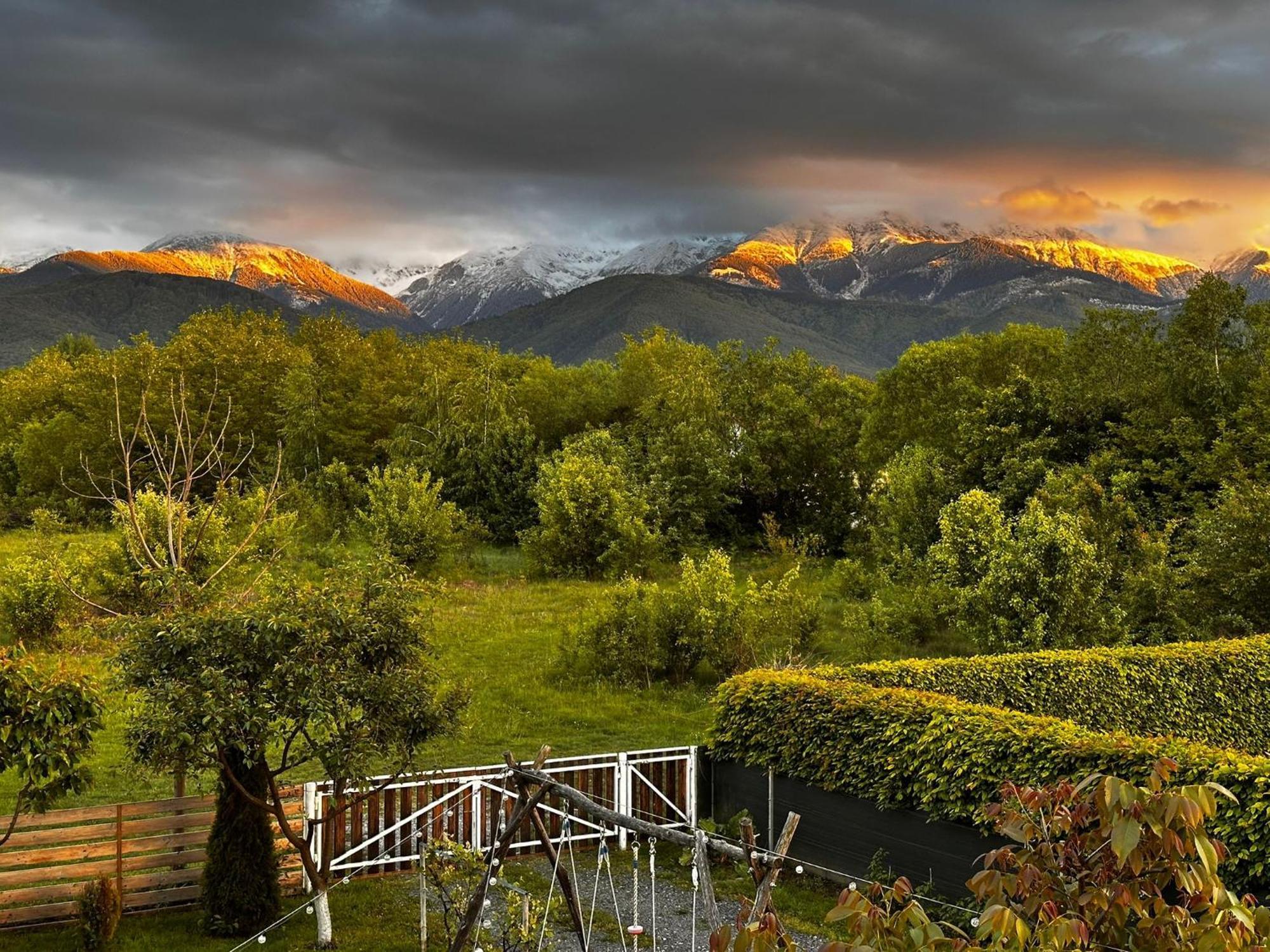 Wanderlust Cottage Avrig Εξωτερικό φωτογραφία